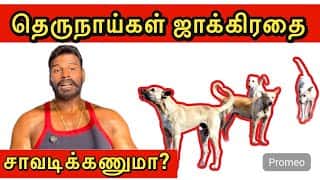 Should I kill stray dogs? 🥺 I am also a victim 🤕 Please watch the entire post and tell me.